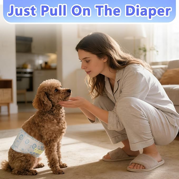 Male Dog Diapers,Dog Diapers Male Disposable with Wetness Indicator,100 Count,Small,Super Absorbent Leak-Proof Fit for Male Dogs Excitable Urination or Incontinence