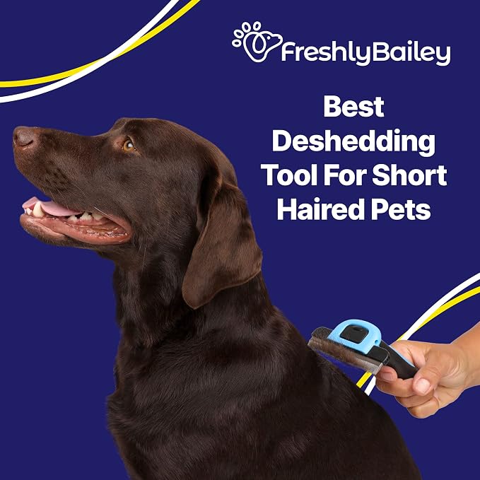 Self Cleaning Slicker Brush and Deshedding Tool For Short Haired Cats and Dogs