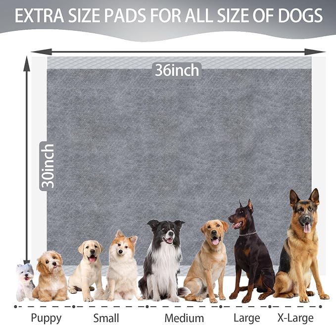 Dog Pee Pads Odor-Control Super Absorbent Charcoal Potty Training | extra large pee pads xxl, disposable urine bed pads for odor-control, training liners for housebreaking puppy pads 30 pcs