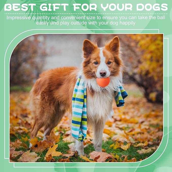 Shappy 24 Pieces Rubber Dog Tennis Balls for Dog Colorful Catching Pet Balls for Fetch Training 2.4 Inch Interactive Bounce and Floatable Toy for Park Beach