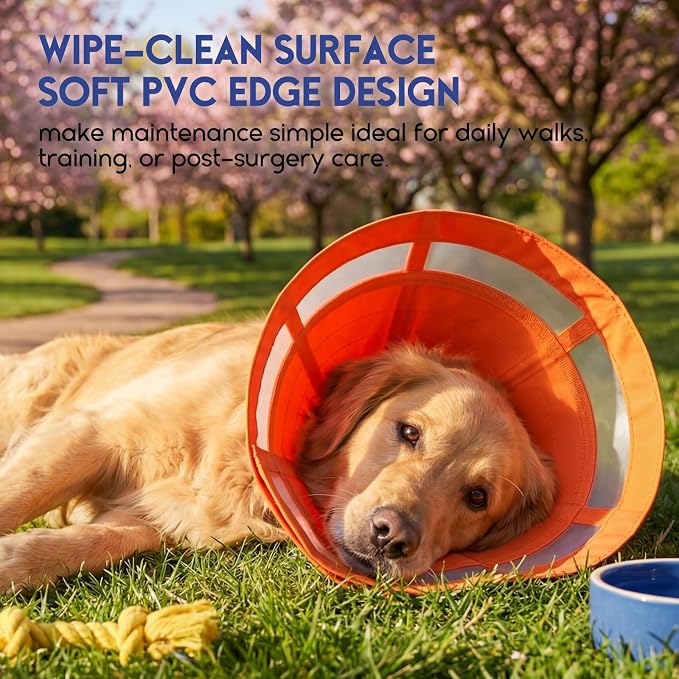ASENKU Dog Cone Collar, Protective Recovery Dog Collar After Surgery, Comfy Adjustable Cone for Dogs to Stop Licking, Pet E-Collar for Small, Medium & Large Dogs(Orange, L)