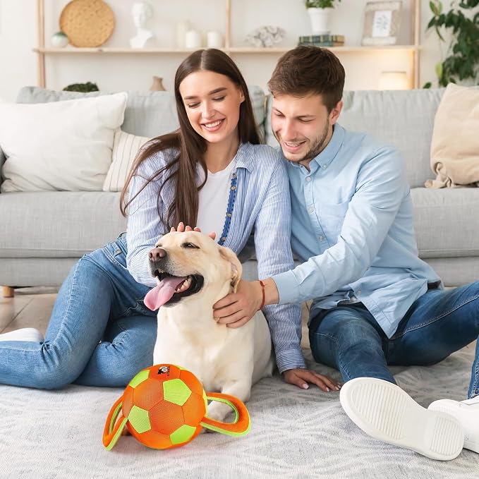 ALL FOR PAWS Ballistic Handle Ball Dog Toy with Squeaker, Interactive Handle Tug of War Ball Toy for Small Medium Large Dogs (Receive one of the Three Colors)