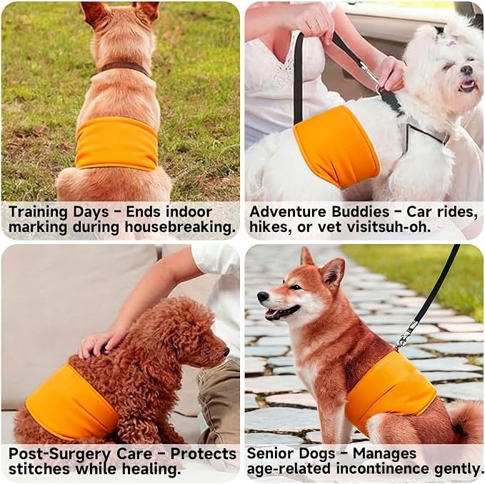4 Pack Washable Male Dog Diapers Reusable Belly Bands - Quick-Absorbing, Leakproof, Outdoor Training & Senior Dogs | Fits Small, Medium, Large Breeds(S)