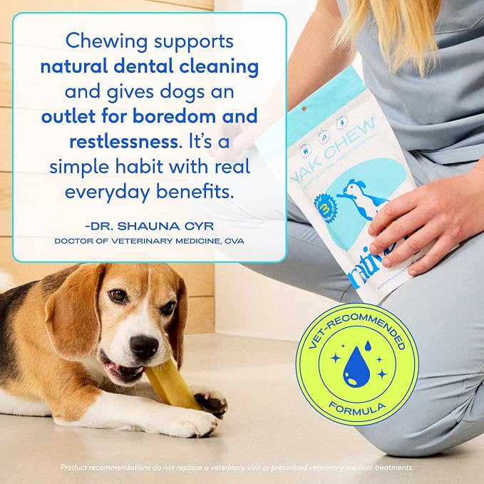 Native Pet Advanced Calming Chews for Dogs & 3 Large Yak Cheese Himalayan Dog Chews - Long Lasting Dental Sticks for Medium Breeds Supports Mental Enrichment & Helps with Anxiety Related Behavior