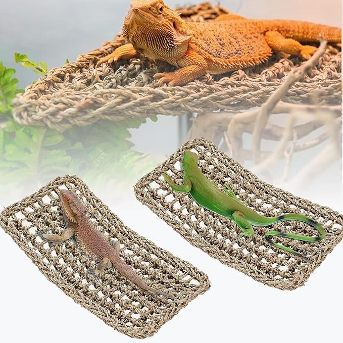TEICCI Bearded Dragon Tank Accessories Set,10-Piece Kit Leopard Gecko Tank Accessories with Bearded Dragon Hammock, Large Reptile Bridge Hammock,Decor Suitable for Lizards, Geckos, and Chameleons