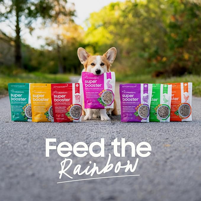 smallbatch Freeze Dried Dog Treats, Superfood Food Topper Duck Bites for Dogs & Cats, Probiotics, Organic Ingredients, High Protein, Grain Free Healthy Treat or Food Topper, Made in the USA, 7 oz Bag