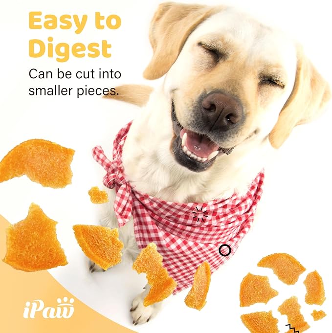 iPaw Chicken Chips Dog Treats for Puppy Training, SQF Certified Human Grade Dog Treat, Hypoallergenic, Easy to Digest (Chicken Chips)