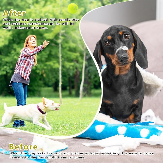 Magicorange Small Tennis Balls, 20 Pack 2 inch Tennis Balls for Dogs, Colorful Easy Catching Pet Dog Playing Ball with Mesh Bag for Easy Transport (Yellow,20 Pack)