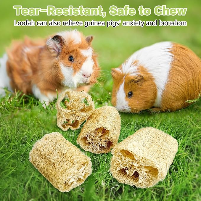BNOSDM 79" X 55"Chroma Washable Bunny Cage Liners Large Rug for Rabbits Large Pad and 4PCS Bunny Chew Toys Natural Loofah Bunny Teeth Grinding Toy Rabbit Treats