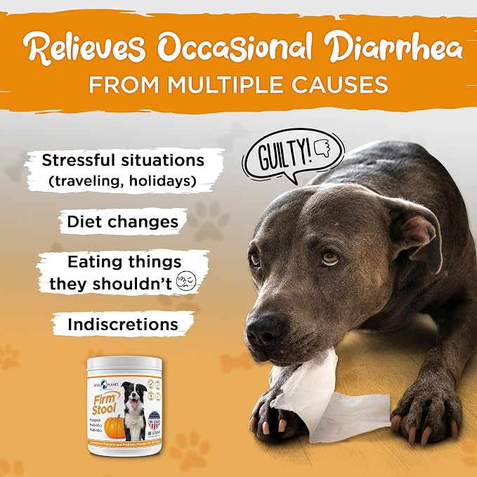 Vital Planet - Firm Stool – Dog Stool Hardener, Eliminates Diarrhea and Gas - Pumpkin, Probiotics and Prebiotics for Healthy Digestion, Fiber for Firmer Stools and Regularity - 111 Grams 30 Servings