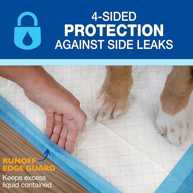 Four Paws Wee-Wee Superior Performance Extra Large Pee Pads for Dogs with Runoff Barrier Edge Guard Protection, Puppy & Dog Potty Training Pads, Housebreaking Supplies, 28" x 34" (75 Count)