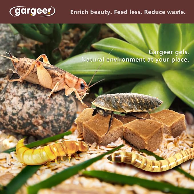 Gargeer Bugs and Insects Food. Complete Gel Diet for Roaches, Crickets, Worms, Dubia, Fly, etc. Made in The USA, Using Premium Nutritional Ingredients. 8oz Powder Turns into 2 Pound of Ready Food.…