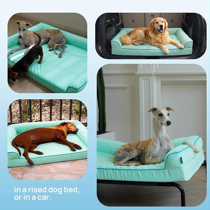 Cooling Dog Bed Large Sized, Orthopedic Pet Cooling Beds with Sides,Q-Max>0.45 Breathable Egg Crate Foam with Removable Washable Cover,Suitabe for Pet Up to 90 lbs, Light Aqua