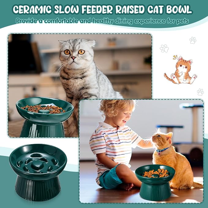 Tioncy 1 Pcs Raised Cat Slow Feeder Bowl Ceramic Elevated Cat Dog Food Bowl No Spill High Edge for Dry Wet Food and Water Easy to Clean, Dishwasher Safe (Dark Green)