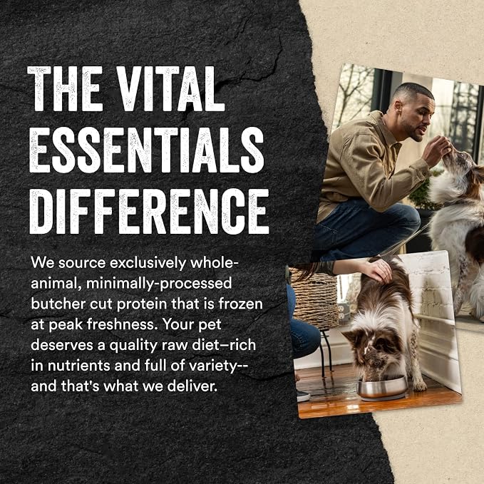 Vital Essentials Freeze Dried Dog Food Topper, Raw Chicken Ground Topper for Dogs | High Protein, Grain Free Dry Dog Food Mix-in | 6 oz Bag