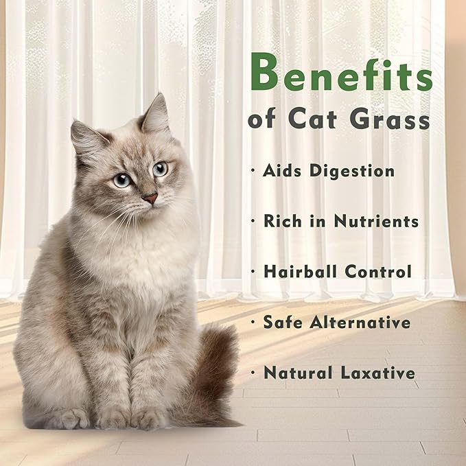 Ceramic Pot Cat Grass for Indoor Cats with Organic Cat Grass Seed Mix – Safe Pet Grass for Cats and Small Pets | Easy-to-Grow Indoor Garden for Pet Digestion (Pink)