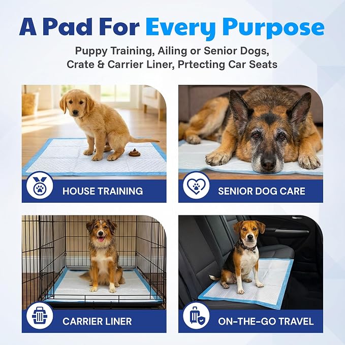American Kennel Club Scented Puppy Pads – XXL & XXL+ Sizes – Ultra Absorbent 6-Layer Pee Pads with Odor Control & Quick-Dry Gel (50, 28 x 44)