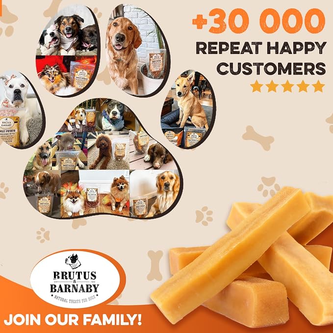 BRUTUS & BARNABY Yak Cheese Himalayan Dog Chews for Aggressive Chewers – Rich in Nutrients, Long Lasting Yak Chews for Small to Large Dogs.(12pk)