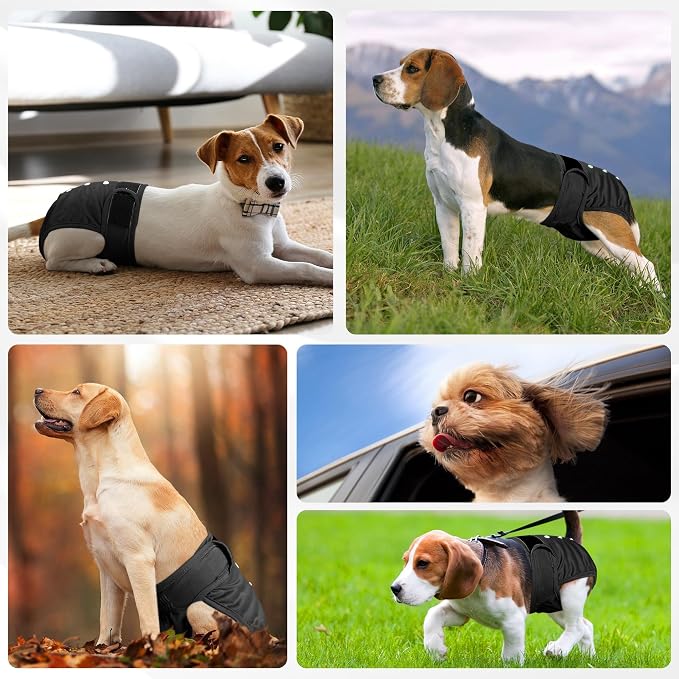 Dog Diapers Female 5pcs,Reusable Dog Doggie Puppy Doggy Diapers Female, Period Panties in Heat, Black, XXLarge