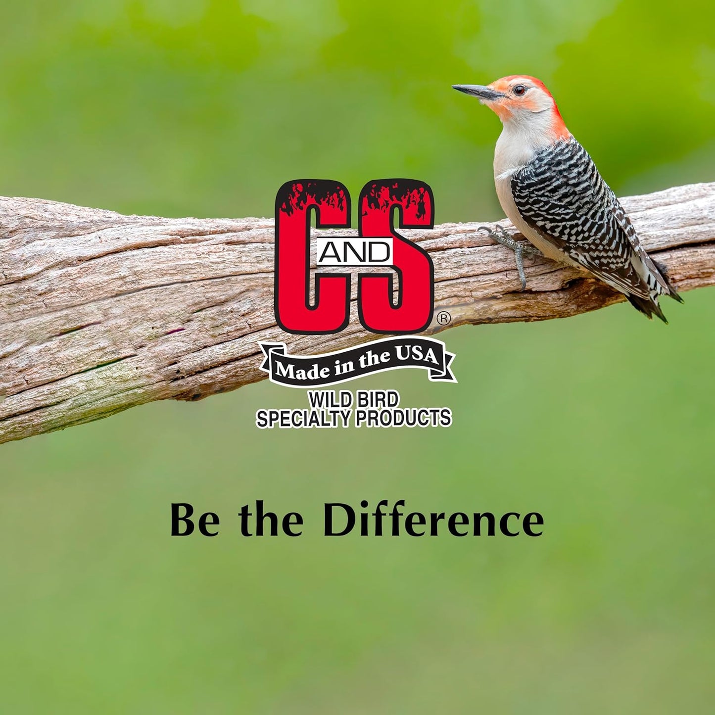 C&S Hot Pepper Delight No Melt Suet Dough 11.75 Ounces, 8 Pack