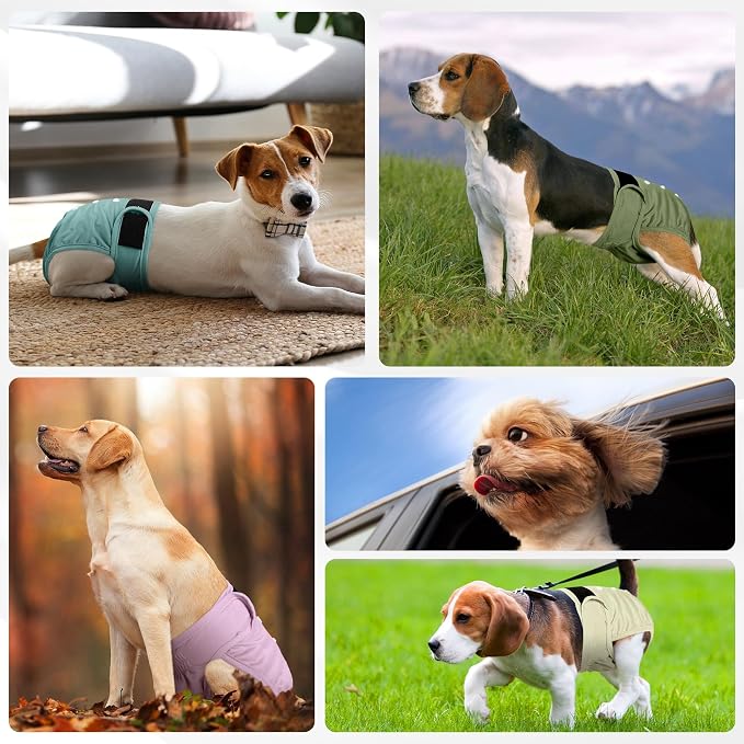 Dog Diapers Female 5pcs,Reusable Dog Doggie Puppy Doggy Diapers Female, Period Panties in Heat, Medium