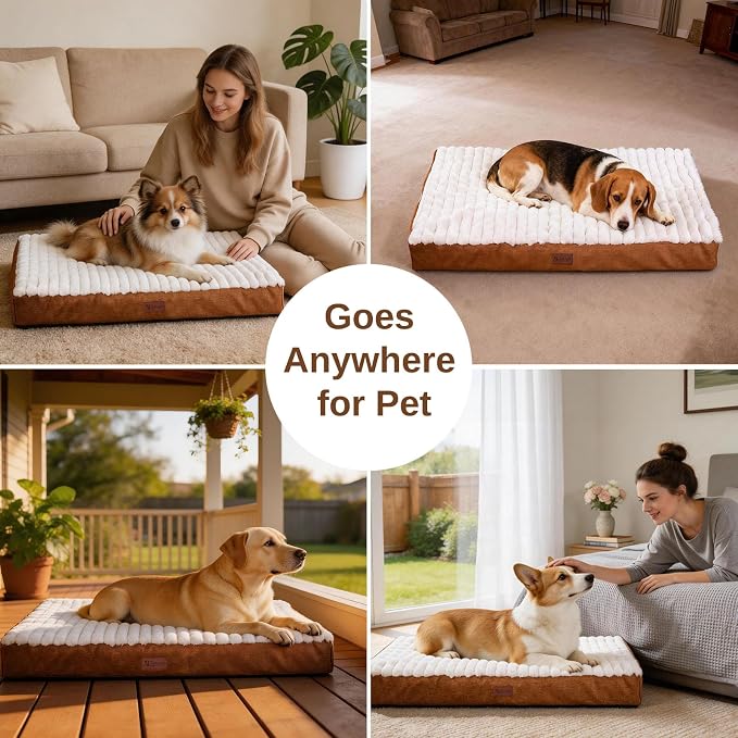 Orthopedic Dog Bed with Firm High-Density Egg Crate Foam Mattress,Soft Short Plush Surface Pet Beds,Machine Washable with Removable Cover & Non-Slip Bottom for Small Breeds(Brown, 23"L x 17"W x 3"H)