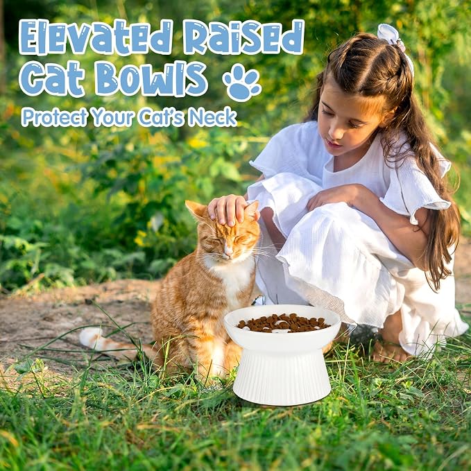 Tioncy 2 Pcs Raised Cat Slow Feeder Bowl Ceramic Elevated Cat Dog Food Bowl No Spill High Edge for Dry Wet Food and Water Easy to Clean, Dishwasher Safe (Dark Green,White)