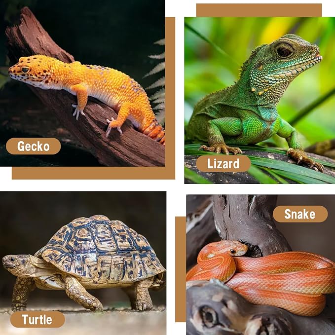Reptile Light Fixture with Dimming Thermostat 5.5 Inch Deep Dome Infrared Reptile Heat Lamp Max 300W for Turtle Bearded Dragon Lizards Snake
