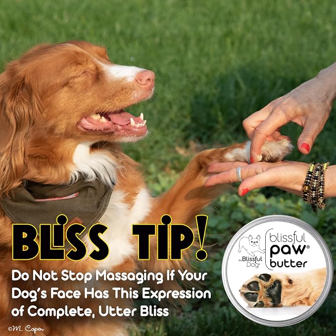 The Blissful Dog Paw Butter, Moisturizer for Dry Paw Pads, Softens and Protects a Rough Paw in Winter, Versatile, Lick-Safe Dog Paw Pad Balm