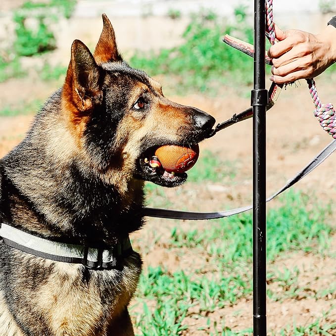 Dog Retractable Interactive Training Tug Toy - Pet Obedience Training Tug - Stable Exercise Metal Pole & Spring Rod with Replaceable Chew Rope for Small/Medium Dogs