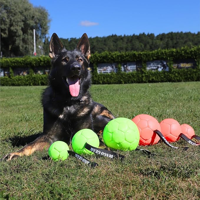 DINGO GEAR WWW.DINGOGEAR.COM 1977 Faux Leather Ball for Dog Training, as Reward for Fetch tug of war, for Strong Dog, Handmade, 3in Green S02685