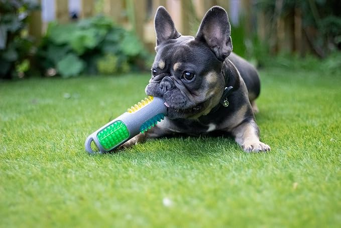 Rosewood Jolly Doggy Throw and Flash Rubber Bone Dog Toy,Grey, 13 cm
