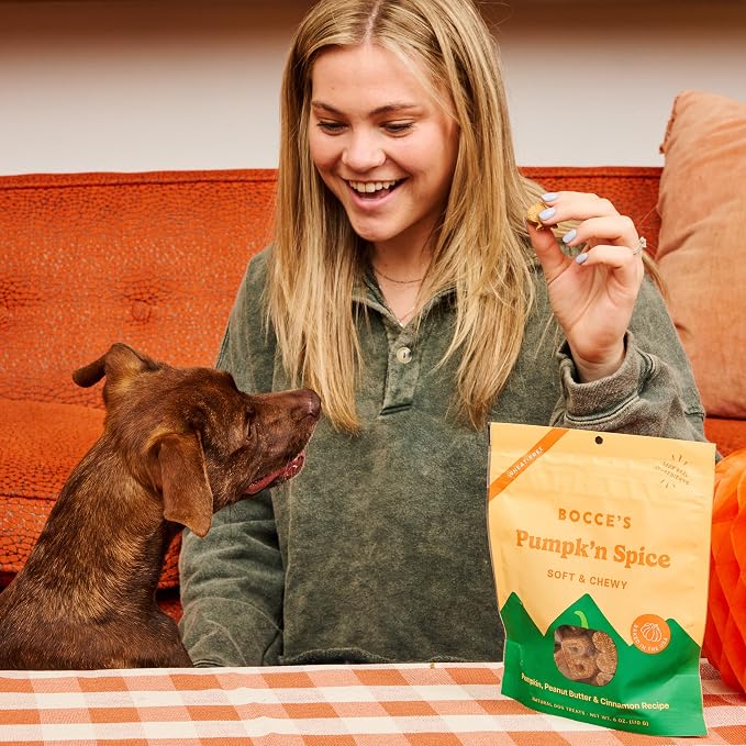 Bocce's Bakery Pumpk’n Spice Treats + Probiotic Supplement Bundle for Dogs – All-Natural, Wheat-Free Cookies & 7 Strains of Probiotics to Support Digestion – Baked in The USA with Real Ingredients