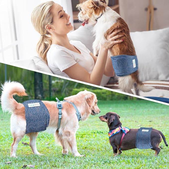 Langsprit Male Belly Bands for Dogs (Pack of 3) - Dog Diapers Male - High Absorbing Dog Wraps Washable - Reusable Small Doggy Doggie Puppy Dog Diapers Jeans L