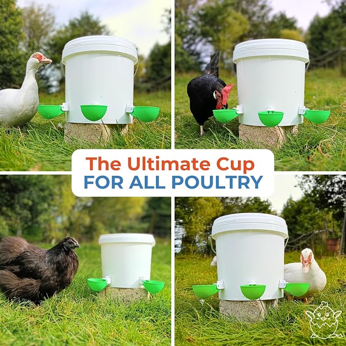 Lil'Clucker - Large Automatic Chicken Waterer Cups Suitable for Ducks, Geese, Turkeys, and Bunny Rabbit - Water Feeder Kit - Poultry Waterer (Green, 8 Pack)