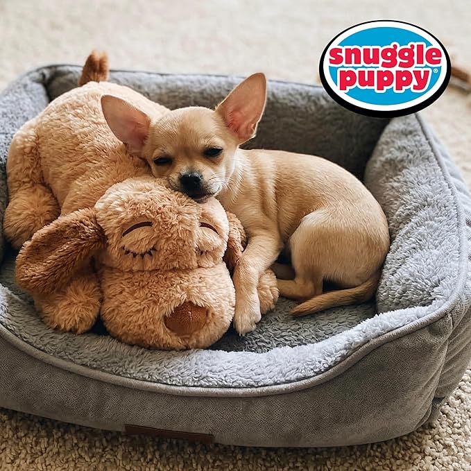Snuggle Puppy Replacement Heat Packs for Junior (7 Count) - Disposable Pet Comfort Warmers for Puppy Anxiety Relief - Odorless, Non-Toxic, All Natural - Fits Smaller Junior Size