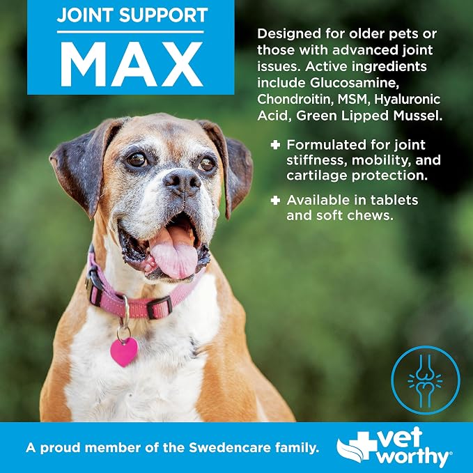 Vet Worthy Joint Support Max Soft Chews - Bone and Joint Supplement for Dogs - Rich in Glucosamine Chondroitin for Dogs & MSM - Formulated for Stiffness, Mobility, and Cartilage Protection – 60 Count