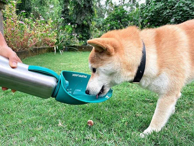 PupFlask Large Dog Water Bottle | 27 or 40 OZ Stainless Steel | Convenient Dog Drink Dispenser | Puppy Travel Water Bowl | Portable Pet Hydration Bottle | Leak Proof | Perfect Size For All Breeds