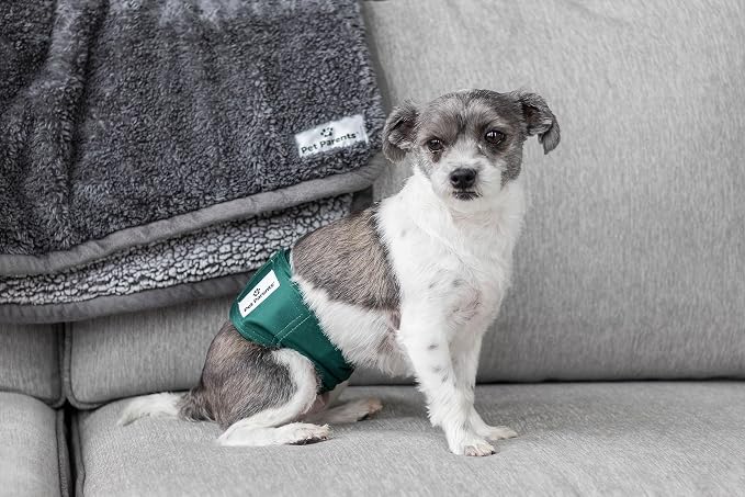 Pet Parents® Washable Belly Bands for Male Dogs (3pack) + Extendrs® of Durable Dog Diapers Male, Premium Male Dog Diapers & Dog Wraps (X-Small, Spruce)