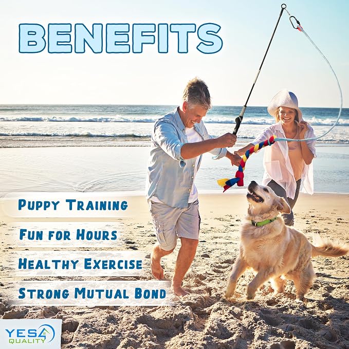 YES4QUALITY Dog Bite Pillow 10x7 & 33 Inch Flirt Pole Bundle