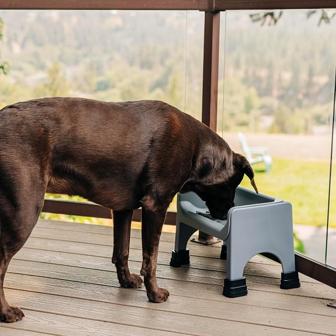 Fluff Trough XL Binge Blocker – Elevated Slow Feeder Dog Bowl with Silicone Slow Feeder Insert, Raised Dog Bowl & Food Container for Medium Large Dogs, Vet Recommended Elevated Dogs Dish (Gray)