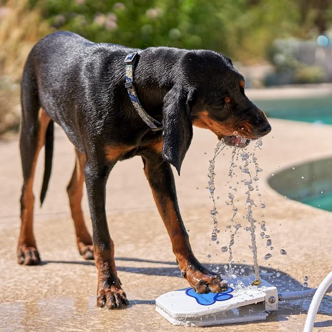 Pet Fit For Life Dog Pedal Water Fountain - Step-On Sprinkler, Drinking Water Hose Toy and Water-Play for Dogs, Includes Giant Tennis Ball