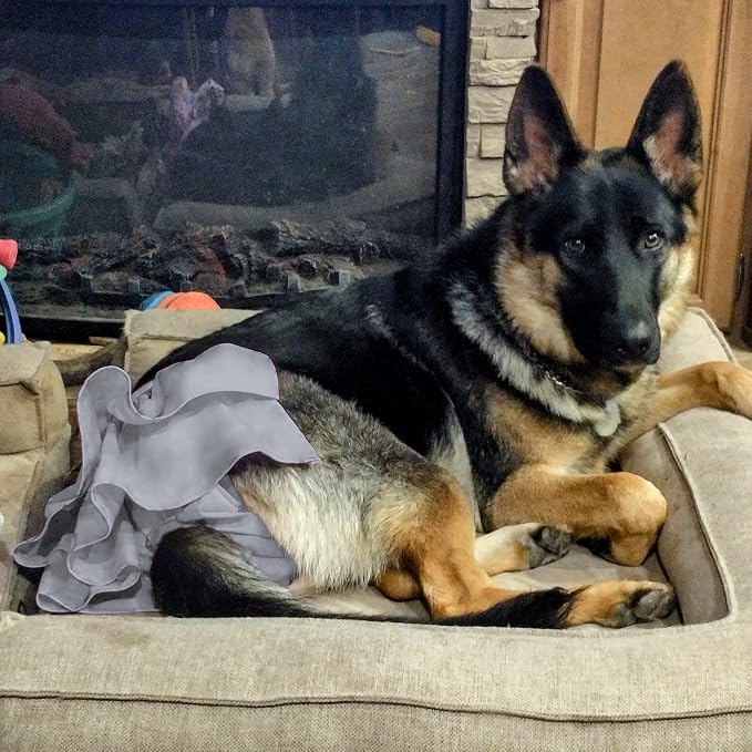 wegreeco Dog Diapers Female (3 Pack), Highly Absorbent Puppy Doggie Dog Diapers for Female Dogs Period, Washable Doggy in Heat, Small Medium Large Size (Medium)