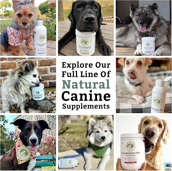 Wholistic Pet Organics Canine Complete - Dog Multivitamin Powder - 2 Lb - Daily Dog Vitamins and Supplements for Homemade Food - Immune System, Skin, Coat & Overall Health - All Breeds - 90 Scoops