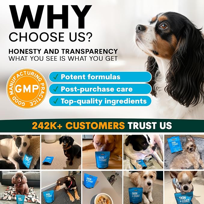 Petz Park Dog Skin and Coat Supplement 90 Scoops, Omega 3 for Dogs, Fish Oil for Dogs Skin and Coat Support, Dog Food Topper Powder, Dog Health Supplement Made in Australia