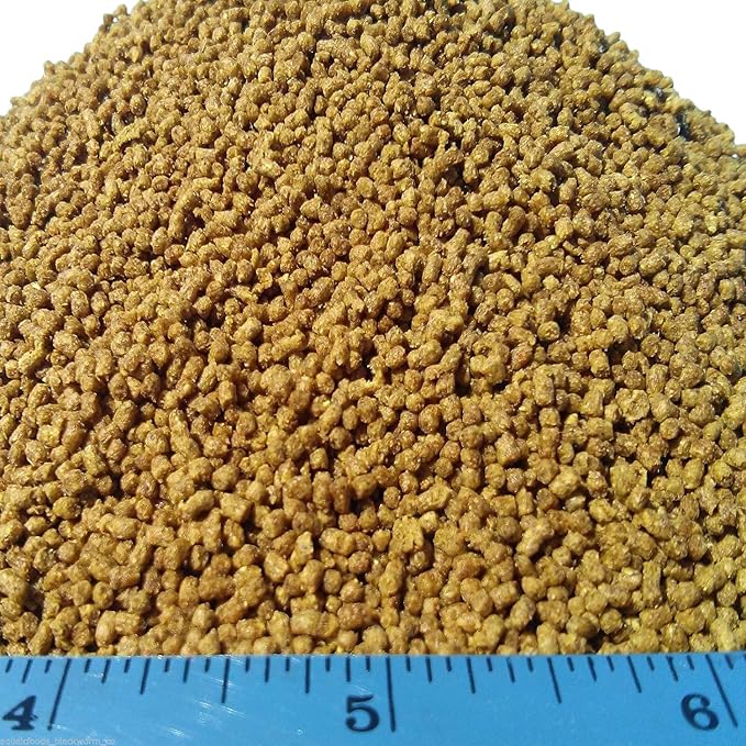 3mm - 1/8" 35% Protein Floating Pellets for Discus, Cichlids, Koi & Pond Fish, All Tropical Fish. Zeigler Premium Pellets - 1/2 lb