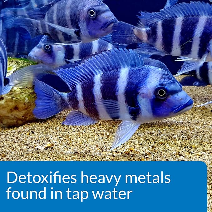 API QUICK START Freshwater and Saltwater Aquarium Nitrifying Bacteria and API TAP WATER CONDITIONER Aquarium Water Conditioner Bundle
