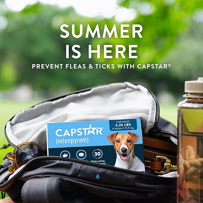 Capstar (Nitenpyram) Fast-Acting Oral Flea Treatment for Dogs 2-25 Lbs, Vet-Recommended Medication Tablets, Flea Tablets for Dogs Start Killing in 30 Minutes, 6 Doses