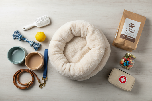 Pet Essentials Every New Fur Parent Needs