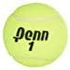 Penn Championship Tennis Balls - Extra Duty